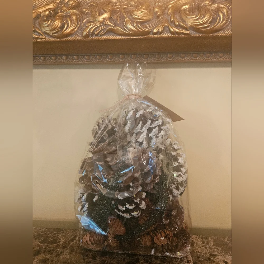 NWT Crate&Barrel Balsam/Pine Potpourri